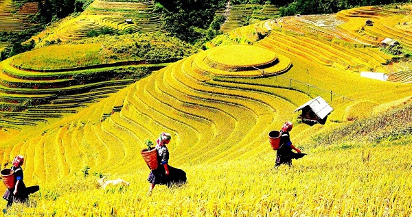 tour du lịch Sapa năm 2016